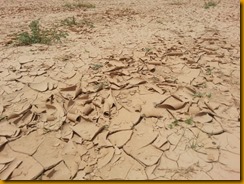 20130518_105951