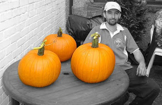 Coloured Pumpkins.