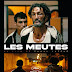 [CRITIQUE] : Les Meutes