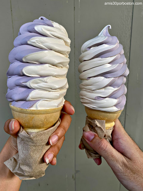 Maple & Black Raspberry Creemee de Burlington Bay en Vermont