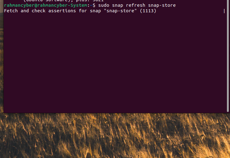 berhasil update snap ubuntu