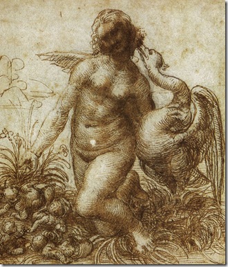 leda2