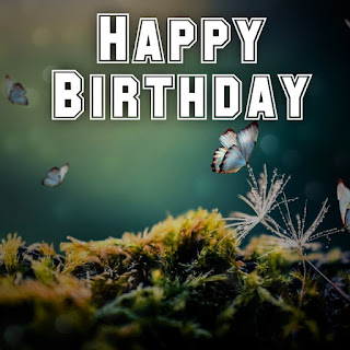 Happy Birthday 4k images with butterflies