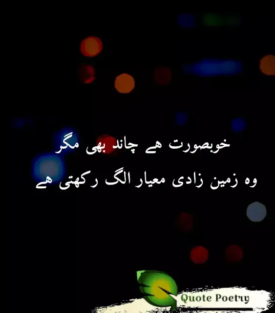 Sad Poetry in Urdu 2 Lines