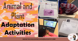 Read and learn about different ideas to incorporate in your classroom about animal and plant adaptations!