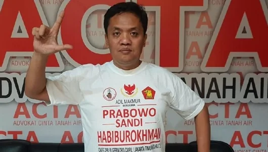 Elektabilitasnya di Bawah Menpora, Habiburokhman: Aneh, Masak Saya Tak Nomor 1