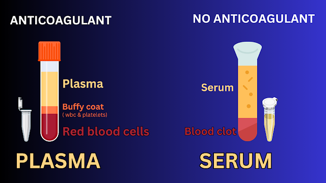 How to Separation of Serum and Plasma? Questions about separating serum and plasma?