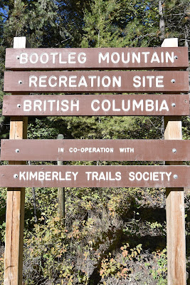 Bootleg Mountain Recreation Site BC.