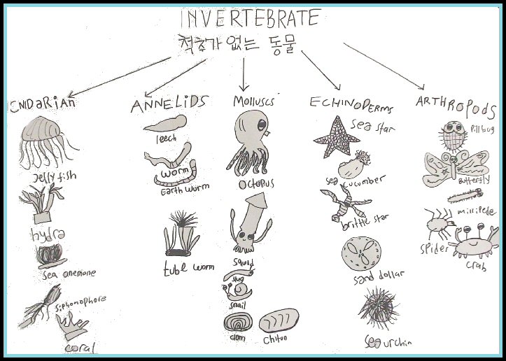 Makalah IPA Invertebrata Makalah IPA Invertebrata