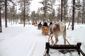 Arctic Circle Reindeer Sled