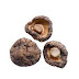 Dried Mushroom Supplier In Sindagi | Wholesale Dry Mushroom Supplier In Sindagi | Dry Mushroom Wholesalers In Sindagi