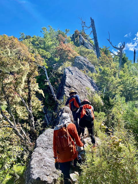 往帕托魯山