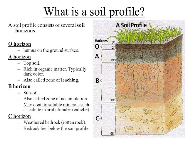 ຊັບ ·         ເນື້ອ​ດິນ (Soil texture) ຫລື ອາ​ນຸ​ພາກ​ດິນ Soil partical: ມີ3ປະ​ເພດ ຄື:  -        ຊາຍ Sand: ເສັ້ນ​ຜ່າ​ສູນ​ກາງ       0.02-2ມມ  -        ຊາຍ​ແປ້ງ (Silt)  ເສັ້ນ​ຜ່າ​ສູນ​ກາງ   0.002-0.02ມມ  -        ດິນ​ຫນຽວ Clay ເສັ້ນ​ຜ່າ​ສູນ​ກາງ   <0.002 ມມ           ·         ນ້ຳ​ໃນ​ດິນ ຈະ​ຢູ່​ໃນ​ຊ່ອງ​ຫວ່າງ​ຂະ​ຫນາດ​ນ້ອຍ​ໃນ​ດິນ (micropore) ດ້ວຍ​ແຮງ capillary forces  ·         ອາ​ກາດ ຢູ່​ໃນ​ຊ່ອງວ່າງ​ຂະ​ຫນາດ​ໃຫຍ່​ໃນ​ດິນ (macropore) ໃຫ້​ອ໊ອກ​ຊີ​ເຈນ​ແກ່​ຮາກ​ພືດ ສັດ​ນ້ອຍ ແລະ ຈຸ​ລິນ​ຊີ​ໃນ​ດິນ