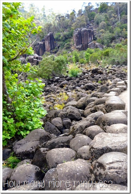 How Many More Minutes? ~ Longord, TAS: Cataract Gorge Reserve