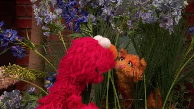 Sesame Street Episode 4811 Kitty Kindness.