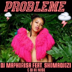 (Afro House) DJ Maphorisa, Shomadjozi & DJ Hu Nose - Probleme (2017)