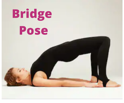 Bridge pose yoga exercise