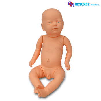 Torso Manikin Bayi Baru Lahir