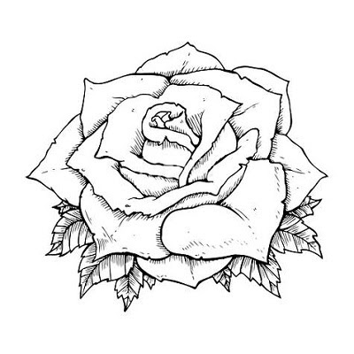 20+ Gambar Sketsa Bunga Mawar - Servergambar01