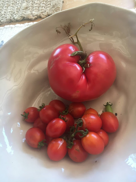 Home Grown Tomatoes