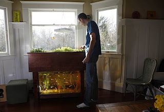 AQUAPONICS SYSTEM