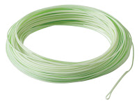 Fly Fishing Lines