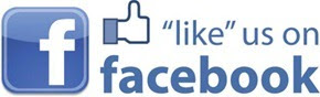 Hiển thị Popup Facebook Fanbox trước trang chủ - Skin 01