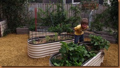 Erin's school 2011-05-20 002