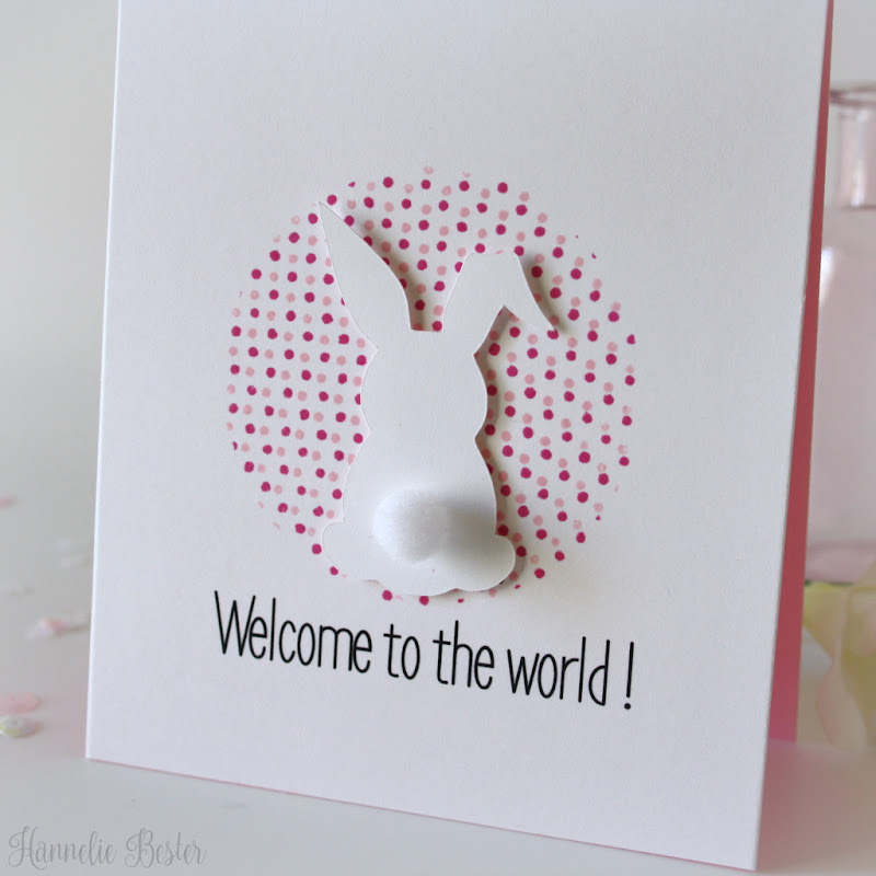 welcome to the world - baby girl