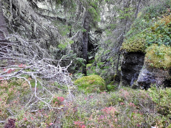 Fjøsvikfjellet somdalskollen kongsgardskollen varden fjellsetera