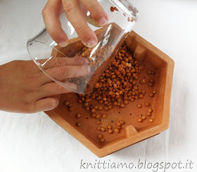 Come germogliare le lenticchie
