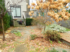 York Humewood Backyard Fall Cleanup Before by Paul Jung Gardening Services--a Toronto Gardening Company