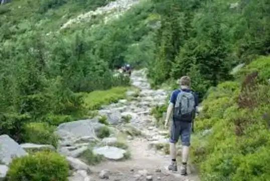 Choose the Right Hiking Trails for You