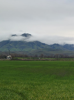 South Butte, March