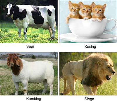 ... disebut vivipar contoh hewan vivipar sapi kucing kambing dan singa