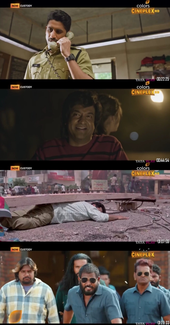 Custody 2023 Hindi Dubbed 720p 480p Full Movie Download