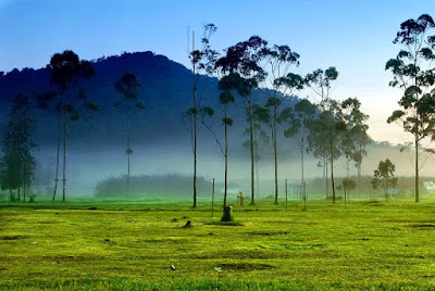 Wisata Alam Ranca Upas Ciwidey