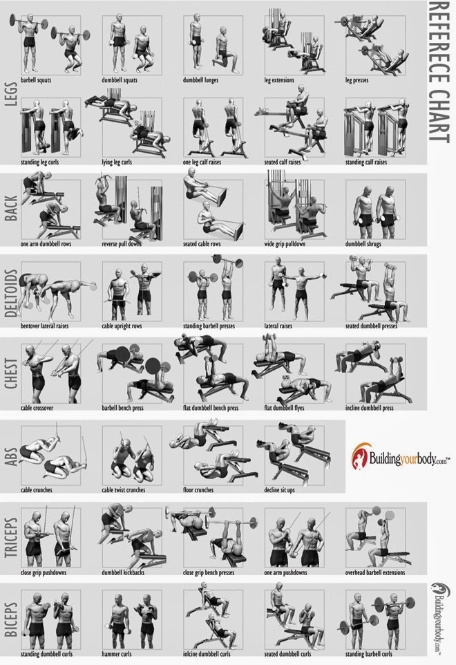 Bodybuilding Stomach Exercises