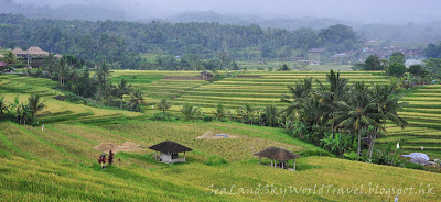 Jatiluwih rice terrace, bali, 峇里