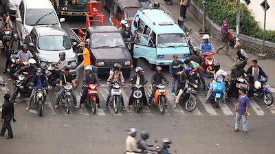 Video Kancil Menyeberang Jalan