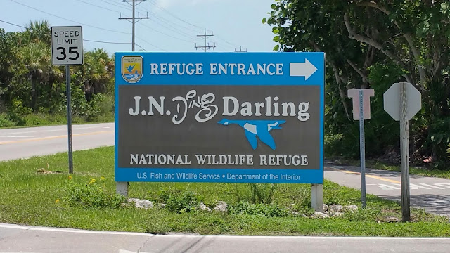 The Suburban Angler Sanibel Ding Darling Refuge '15