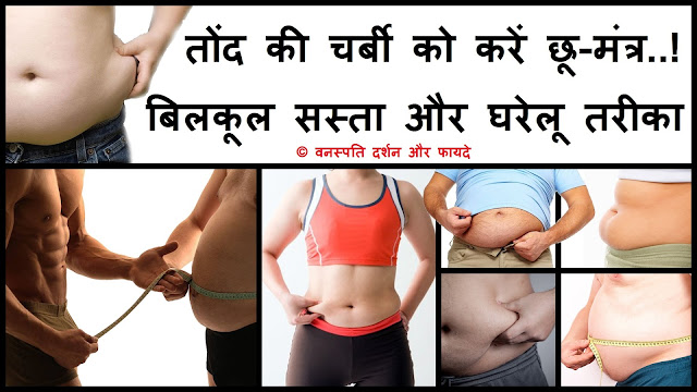 Simple and Successful Remedies to Cut Belly Fat 