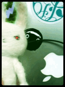 オガサワラユウのおぽぽ 12 オガサワラユウのおぽぽ 12