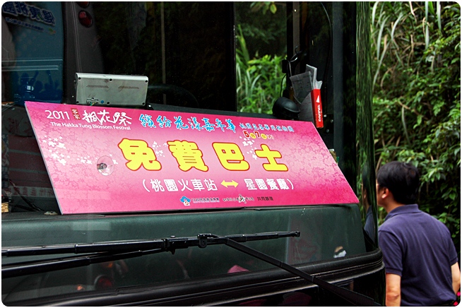 桃園 藥物植物園 油桐花 2011-5-7 下午 03-33-27修改.JPG