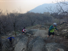 Breakneck Ridge, trail running, ultrarunning, run, trail, marathon, Red Newt Racing, Trail Whippass