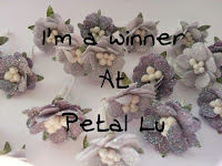 Winner at Petal Lu Challenge