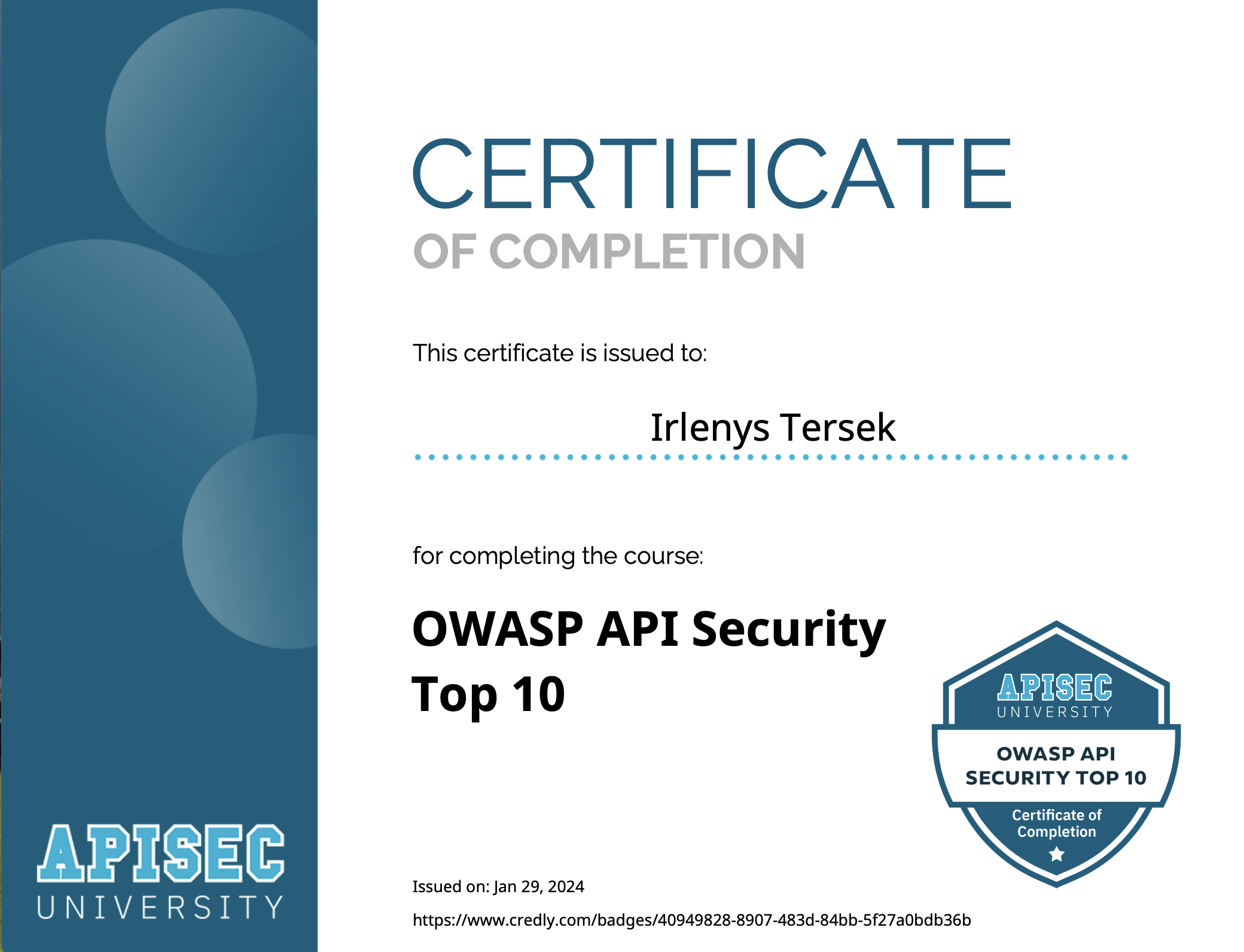 OWASP API Security Top 10