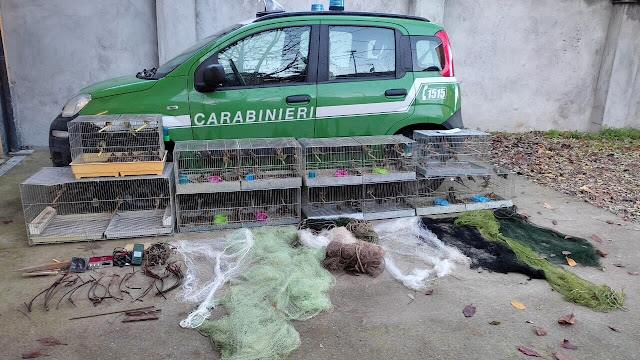 Milano: sul furgone 124 uccelli di specie protette, denunciato