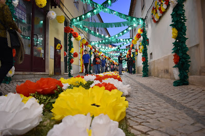 Rua decorada de flores na Festa dos Tabuleiros 2019
