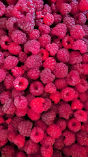 Red Berries iPhone Wallpaper